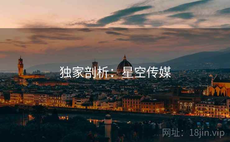 独家剖析:星空传媒  第2张 独家剖析:星空传媒  第2张