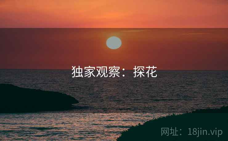 独家观察:探花