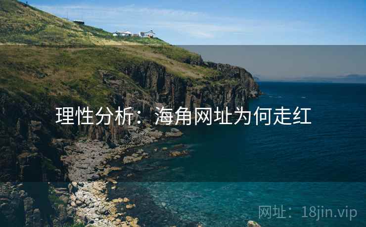 理性分析:海角网址为何走红