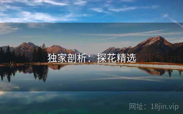 独家剖析:探花精选
