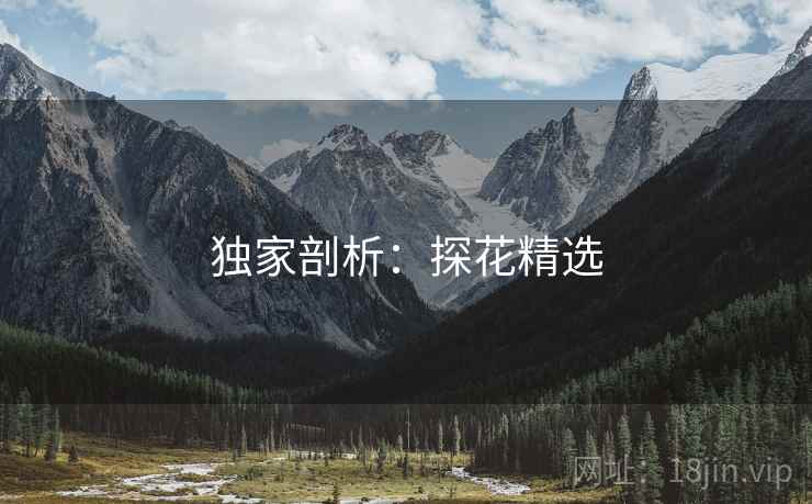 独家剖析:探花精选