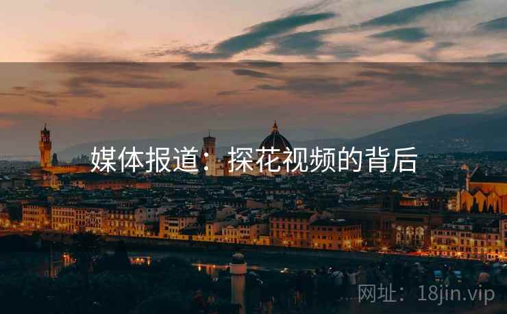 媒体报道:探花视频的背后