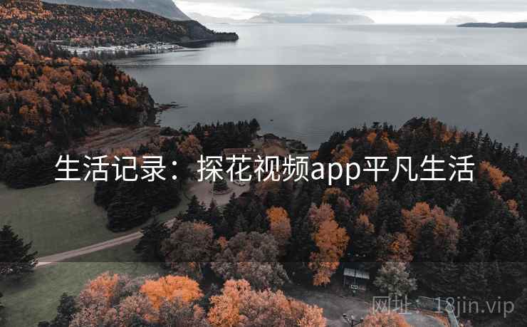 生活记录:探花视频app平凡生活
