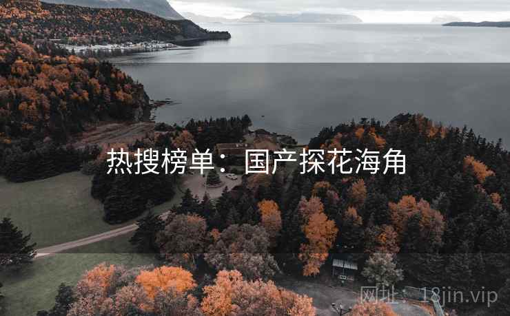 热搜榜单:国产探花海角