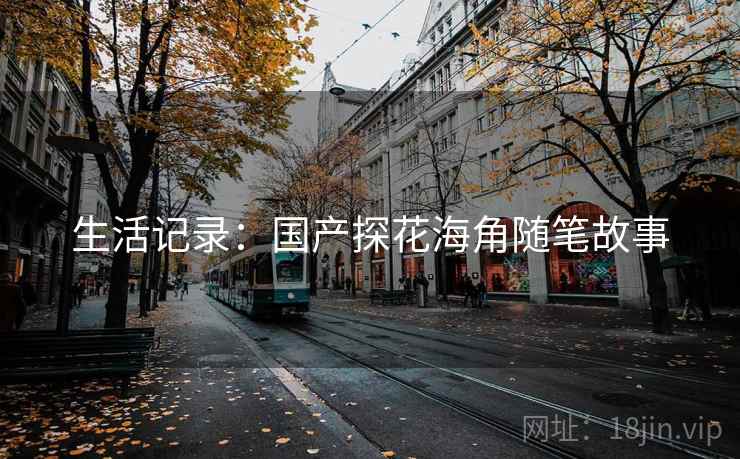 生活记录:国产探花海角随笔故事
