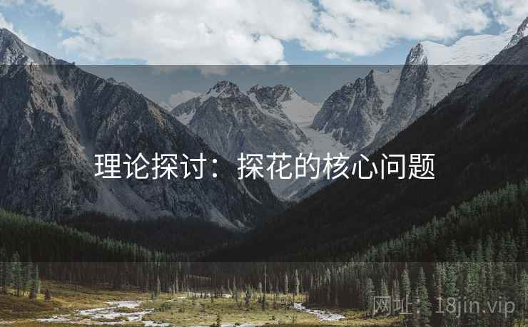理论探讨:探花的核心问题