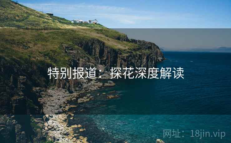 特别报道:探花深度解读