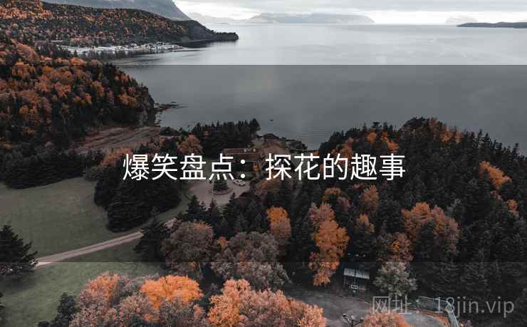 爆笑盘点:探花的趣事