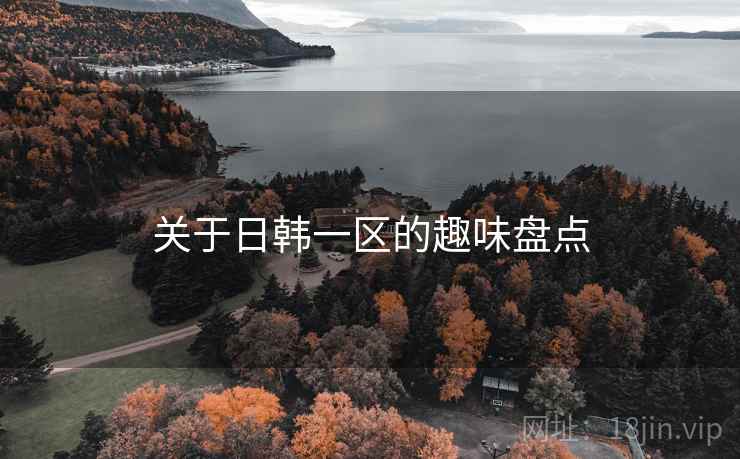 关于日韩一区的趣味盘点