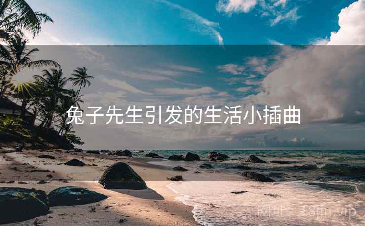 兔子先生引发的生活小插曲