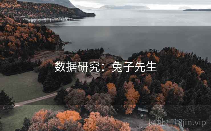 数据研究:兔子先生