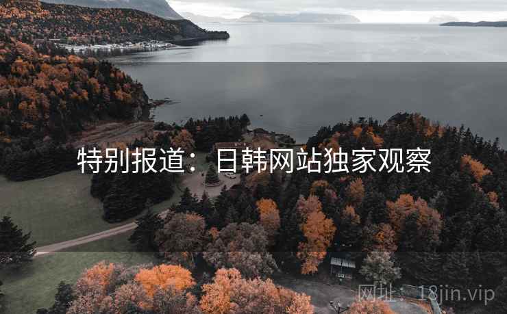 特别报道:日韩网站独家观察