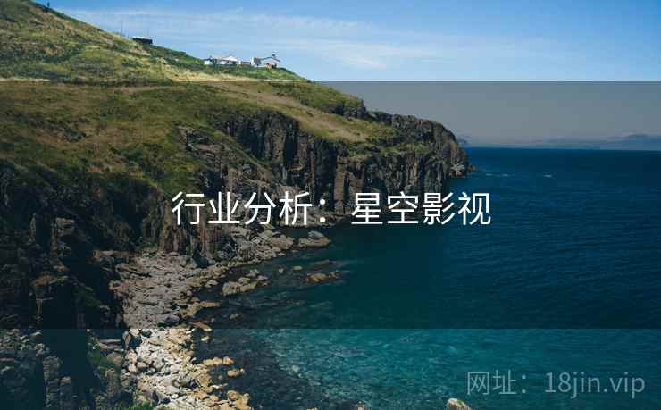 行业分析:星空影视