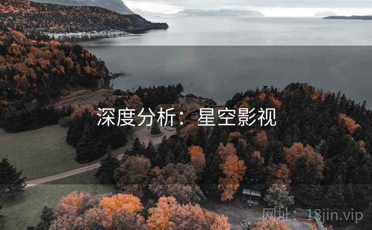 深度分析:星空影视