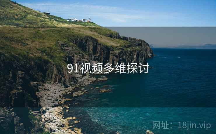 91视频多维探讨